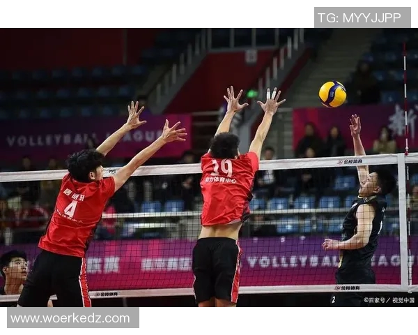 赵娜独家分享排球心得与技巧助你提升球技的秘密武器