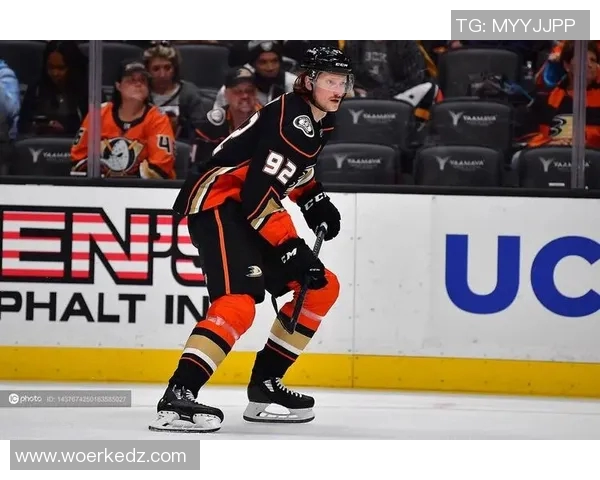 小鸭vs掠夺者 小鸭vs掠夺者