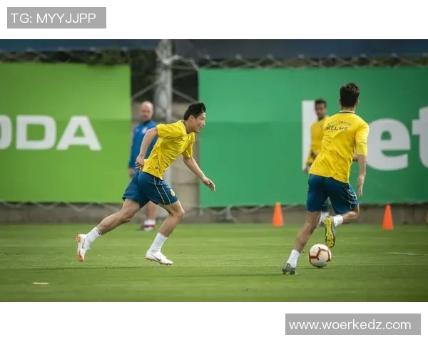 布莱顿主场迎战谢周三期待精彩对决与进球盛宴