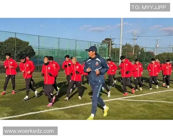 权健与延边中央5的激烈对决展现足球魅力与团队精神的巅峰之战 权健与延边中央5的激烈对决展现足球魅力与团队精神的巅峰之战