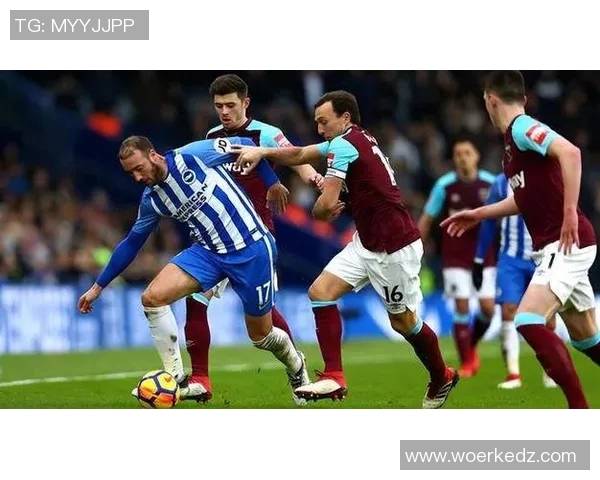 特兰米尔主场迎战赫尔城争夺英冠积分榜关键战役