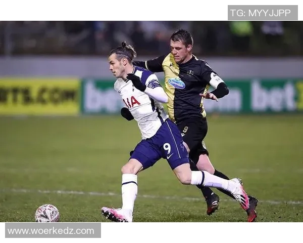 热刺与布伦特历史交锋记录分析及战绩回顾 热刺与布伦特历史交锋记录分析及战绩回顾