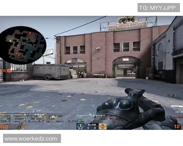 李秀英专访:从新手到高手的CSGO成长之路与心路历程分享 李秀英专访:从新手到高手的CSGO成长之路与心路历程分享