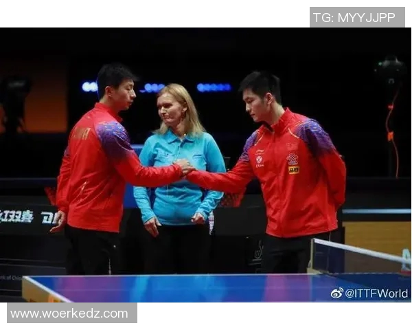 篮网与黄蜂激战305场赛季关键对决引发球迷热议 篮网与黄蜂激战305场赛季关键对决引发球迷热议