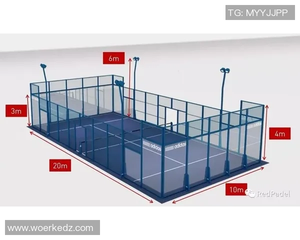 广州网球队在洲际杯中的战术表现分析与点评探讨MBA