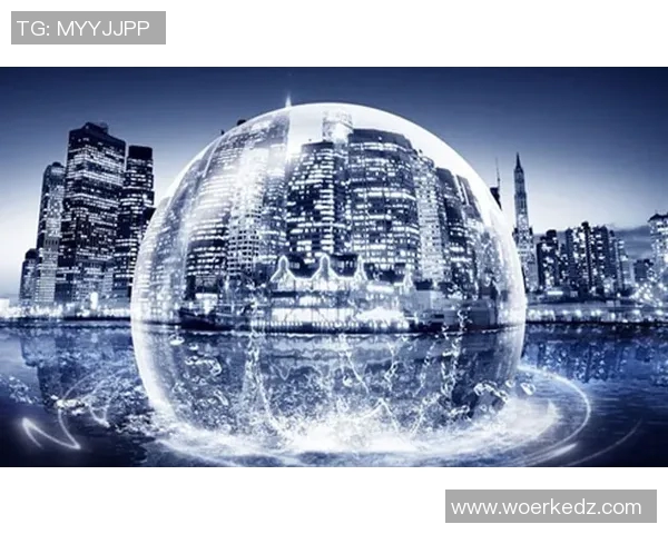 京东不死鸟与金泽的较量谁将成为电商领域的新王者 京东不死鸟与金泽的较量谁将成为电商领域的新王者