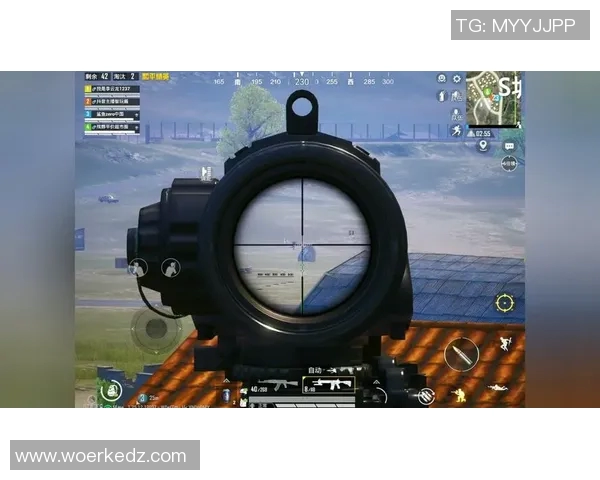 和平精英战术解析:深入剖析IG战队的进攻策略与团队配合 和平精英战术解析:深入剖析IG战队的进攻策略与团队配合