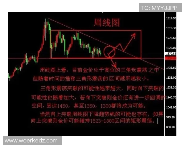 攀岩新手必看：掌握节奏与技巧的全面入门指南