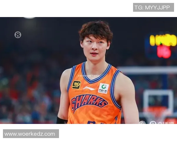 王哲林在CBA赛场的崛起与挑战解析,展望未来篮球生涯的无限可能 王哲林在CBA赛场的崛起与挑战解析,展望未来篮球生涯的无限可能