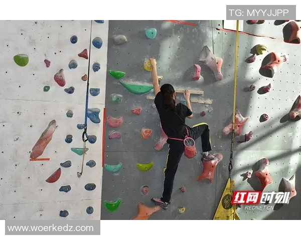 广州攀岩队在全国攀岩战术排行榜中荣获第八名的佳绩分析