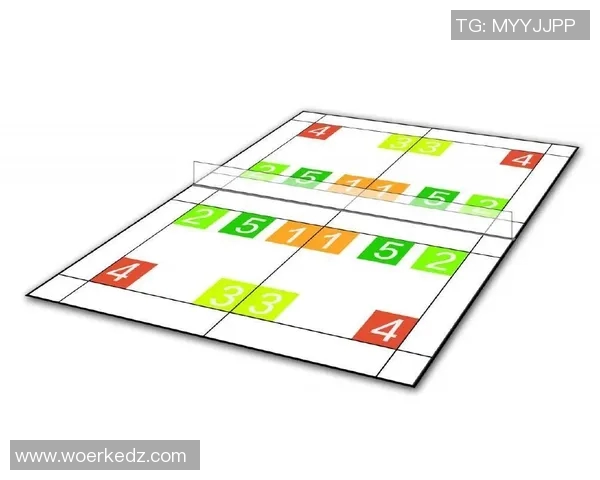 深圳羽毛球队的战术解析与训练揭秘深入探讨羽毛球竞技的阵地战策略