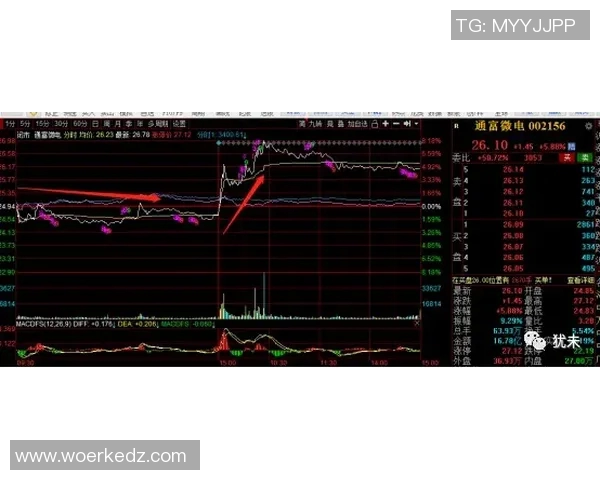 赛后复盘分析：JDG与WE对决中的节奏掌控与战略布局探讨